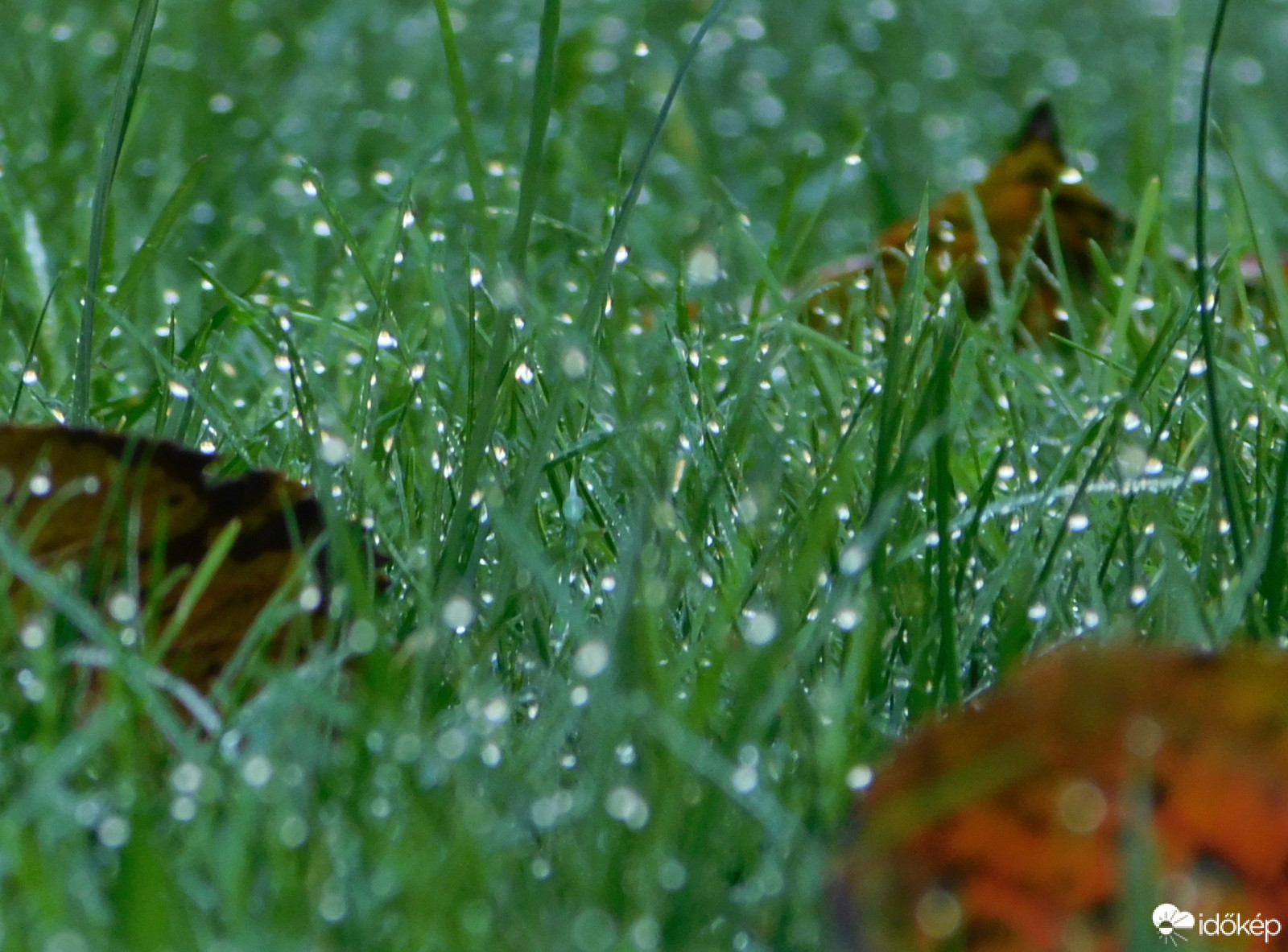 a helyzet változatlan 