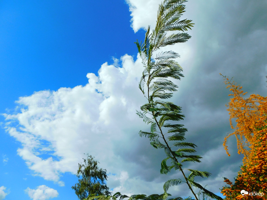 kissé fújt a szél