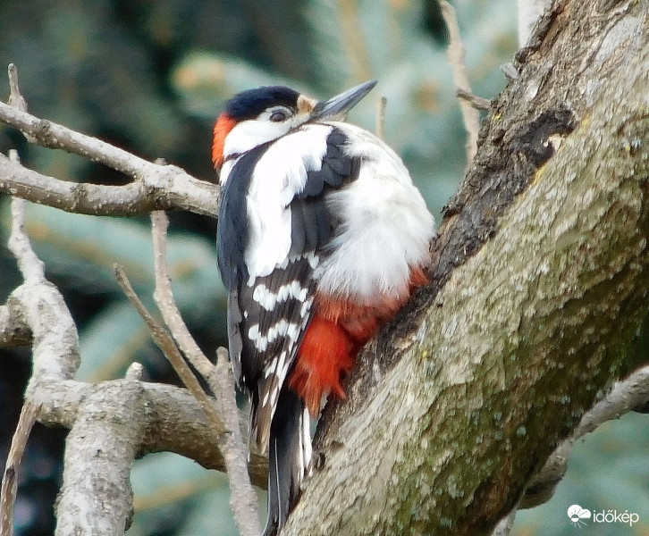 most itt megpihenek..