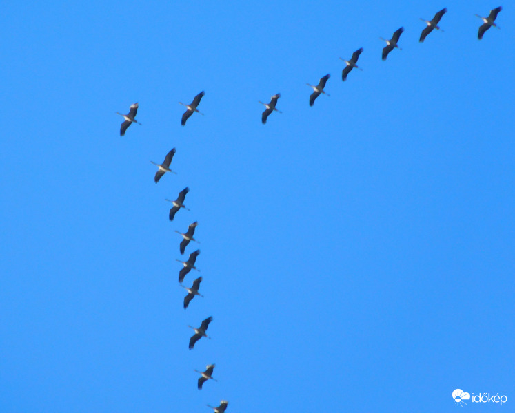 4 v 5 csapat ment délután, de sajnos nagyon magasan