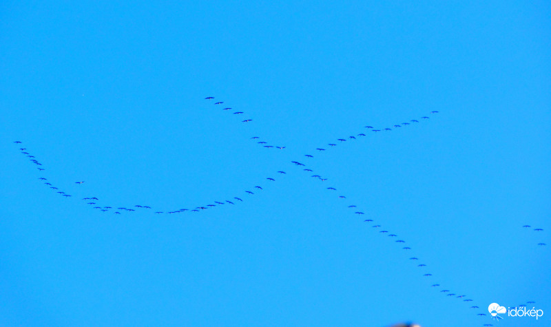 ez lett belőlük :)