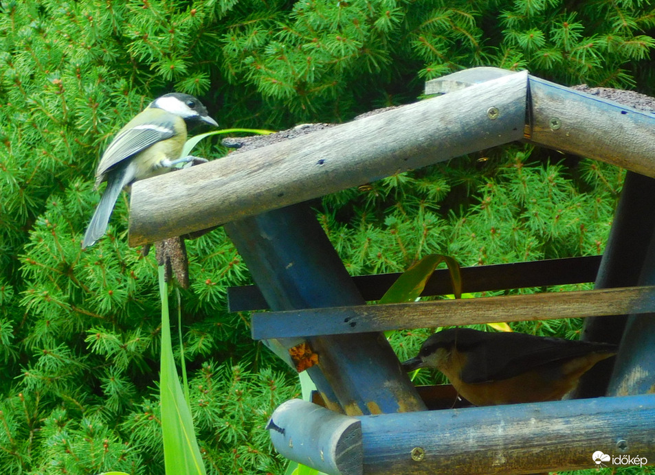inkább megvárom míg végez a csúszka
