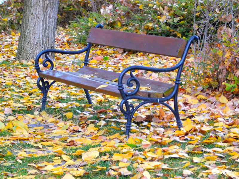 pihenő