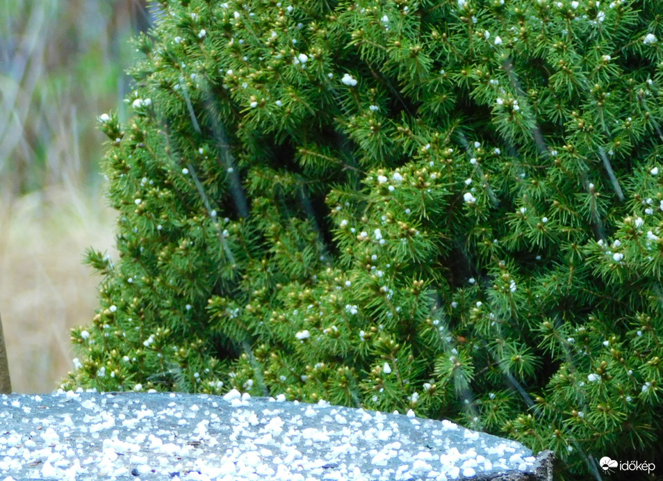 sűrűn esett a hódara