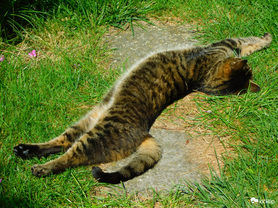 azért most is jó :))