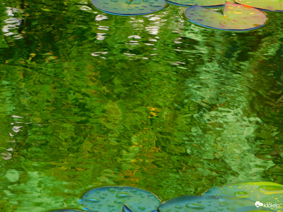 szélborzolta víztükör