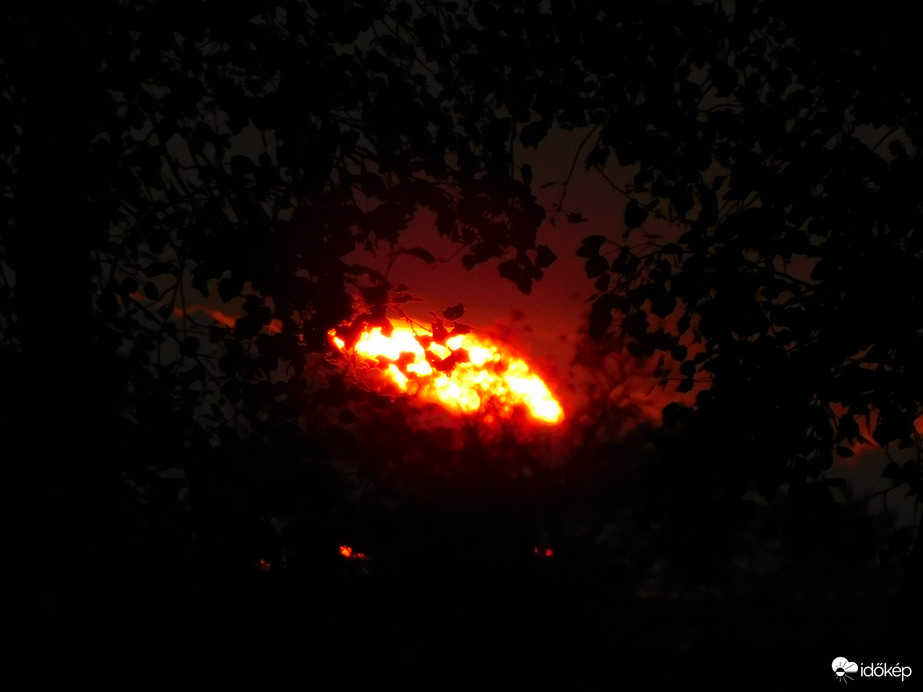 elnyelte a sötétség