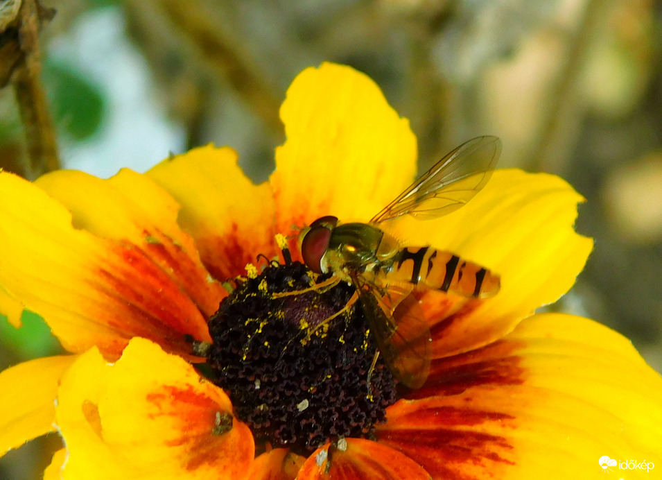néha kisüt, néha kevésbé, de erősen felhős