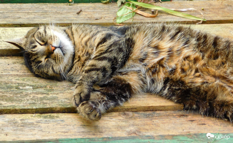 álom, álom, édes álom :)