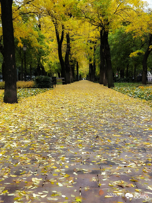 Városi levél szőnyeg 