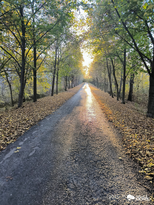 Néhol még zöldben az ártéri út 