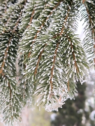 Zúzmarás ködös idő 