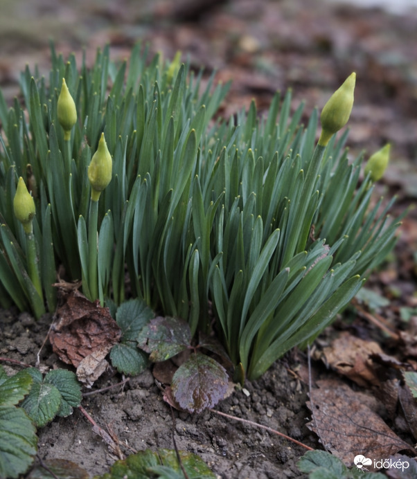 Kinyílunk hamarosan 