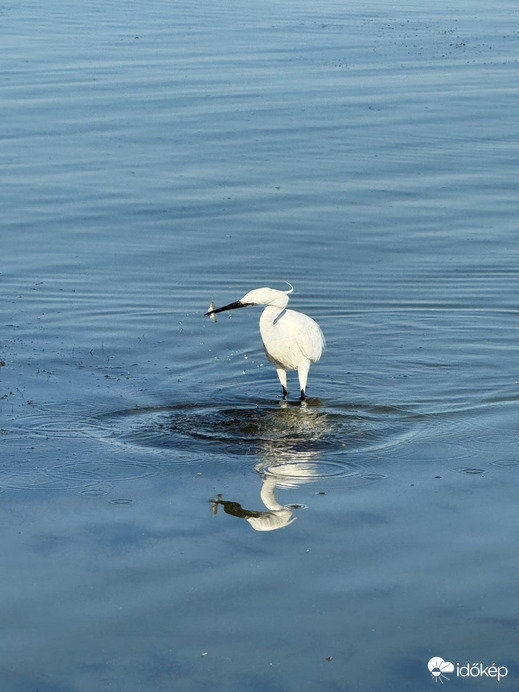Balatonlelle