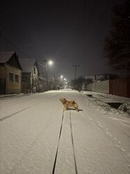 Hódmezővásárhely