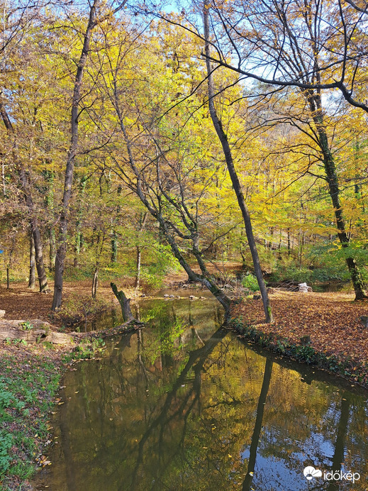 Székesfehérvár