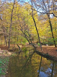 Székesfehérvár