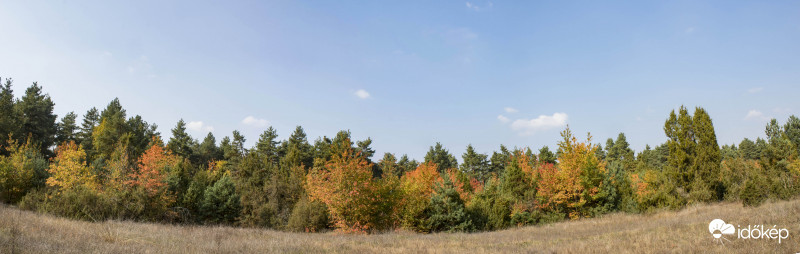 Ősborókás Barcs ősz