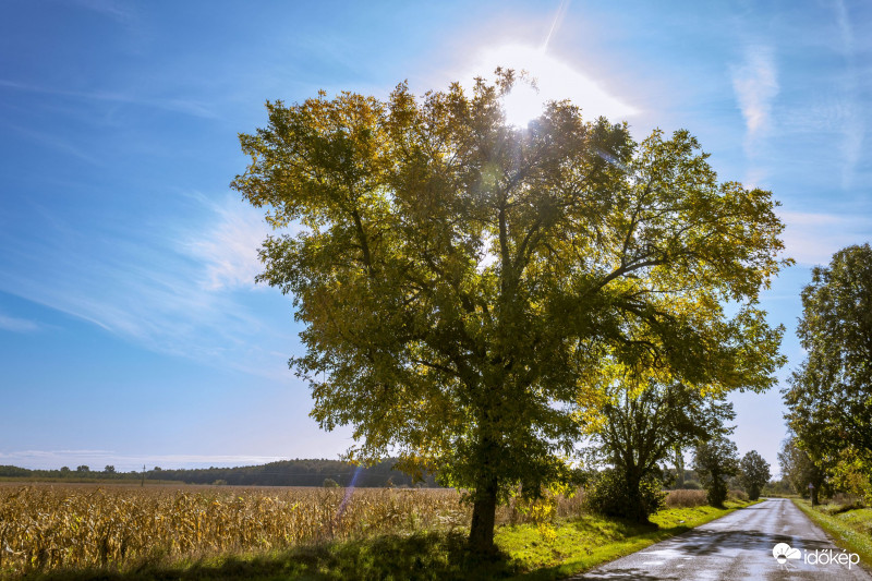 Árnyékban 2019/10/04.