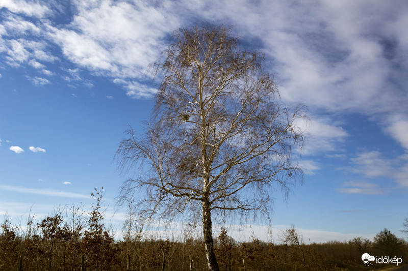 Égkép 2019.01.14 de.