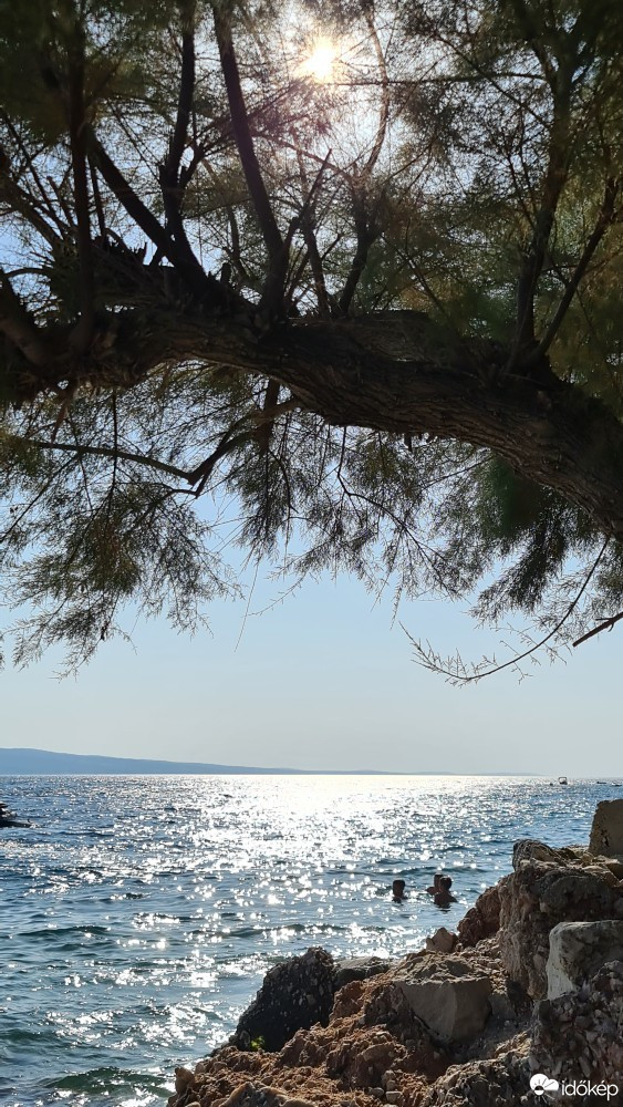 Stanići
