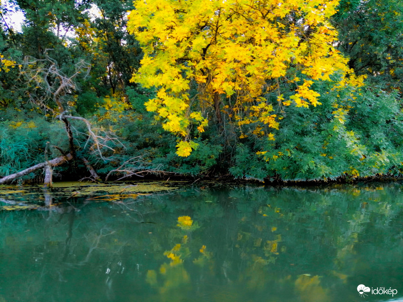 Tisza - tó 