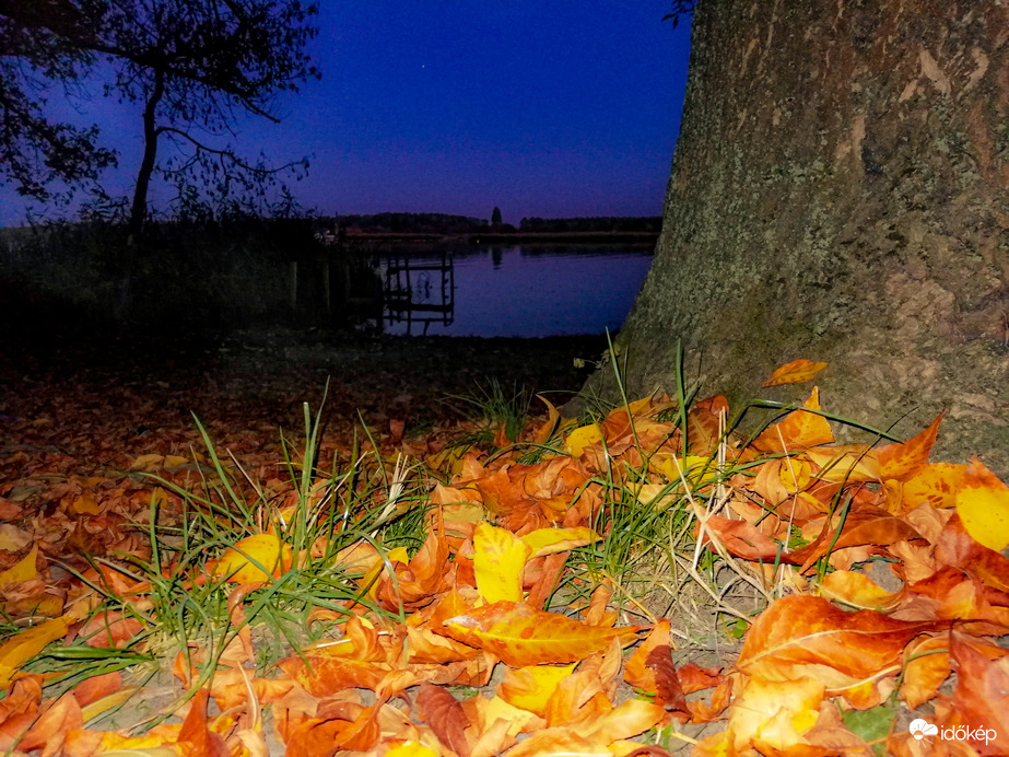 Tisza-tó 