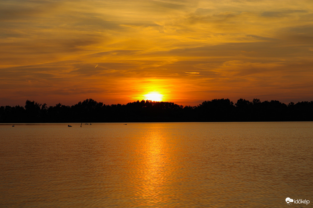 Tisza-tó