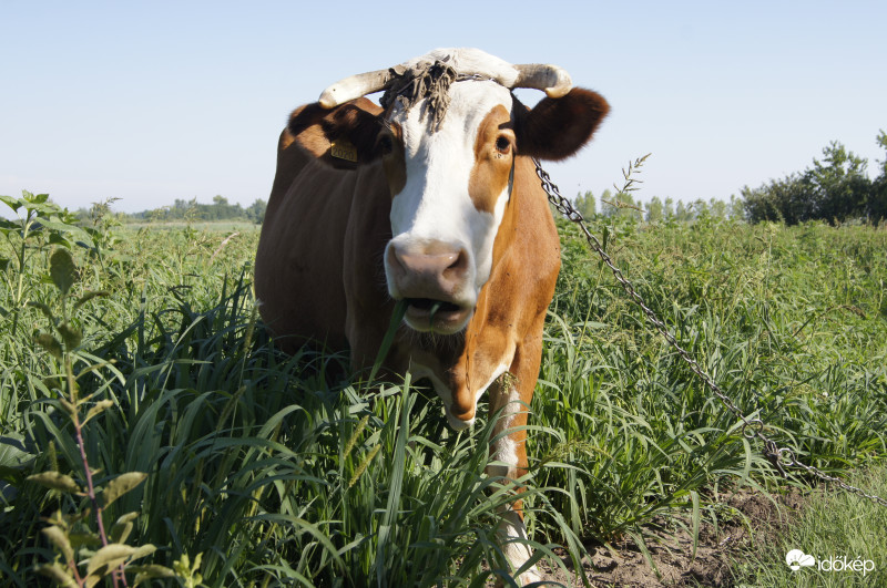 Panni most tudta meg, hogy mennyi az 5-ös lottó eheti nyereménye