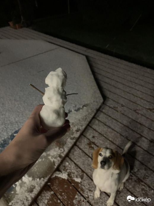 mini hóember (akit meg akarnak enni!)