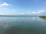 Balatonaliga