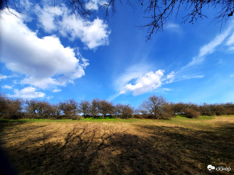 Albertirsa 2021.03.13.