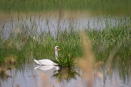 lneannamaria fotója