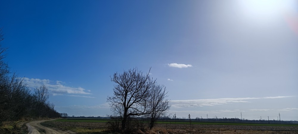 Mosonmagyaróvár