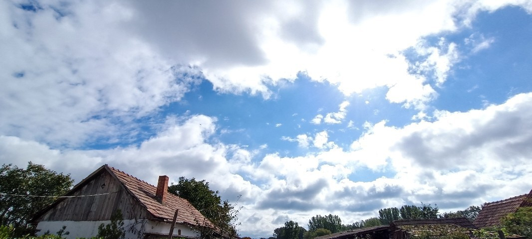 Álmosd