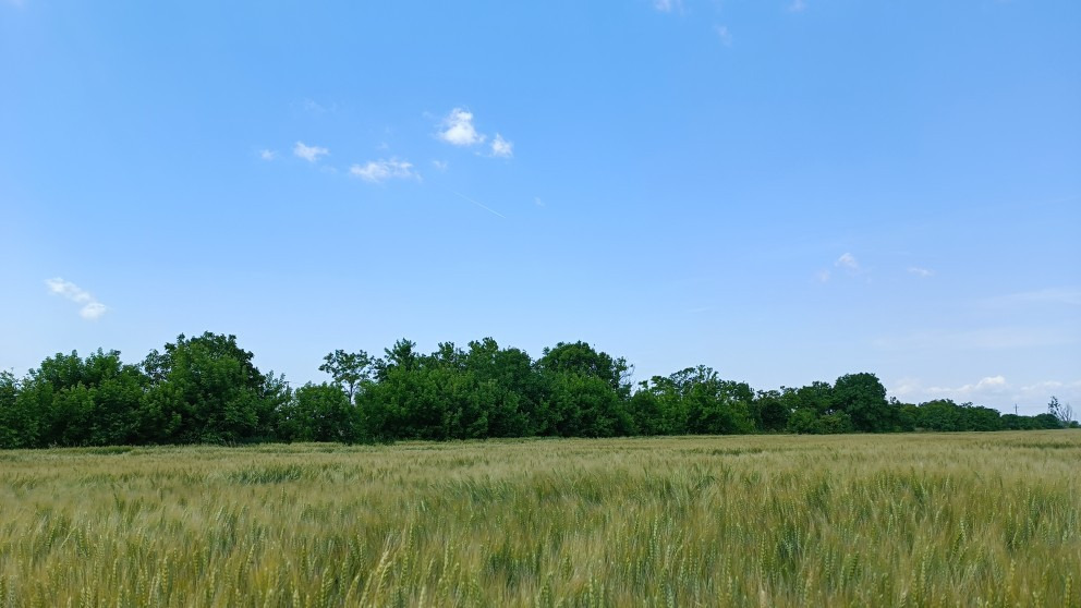 Mosonmagyaróvár