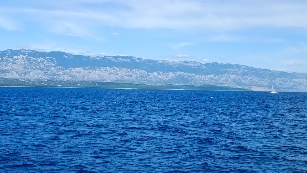 Tovarnele