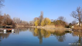 Mosonmagyaróvár