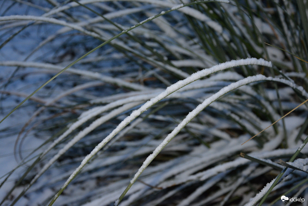 Havas ébredés karácsony első napján 12.25.