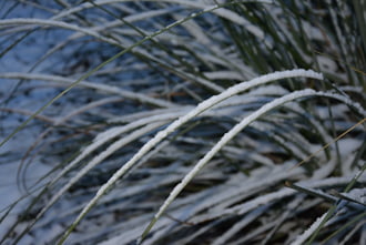 Havas ébredés karácsony első napján 12.25.