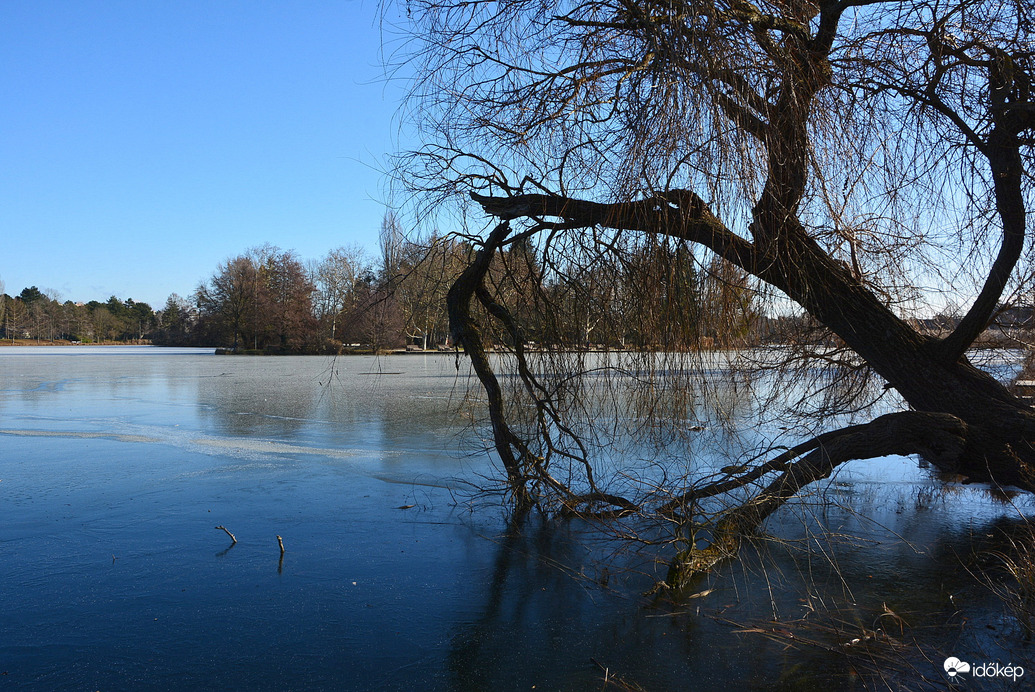Jégbe zárt világ 01.03.