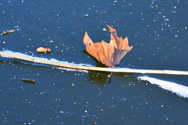 Jégbe zárt világ 01.03.