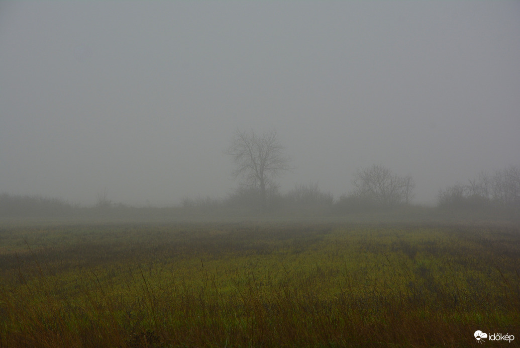 Szürke, ködös nap 12.03.