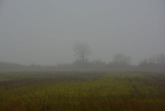 Szürke, ködös nap 12.03.