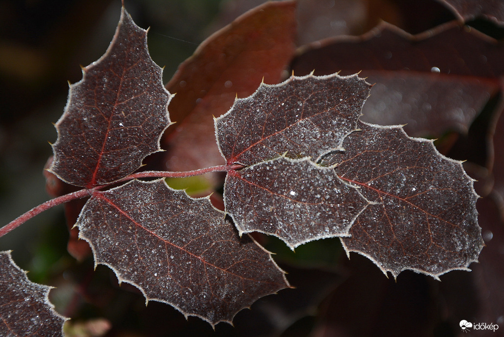 Fagyos reggel 12.31.