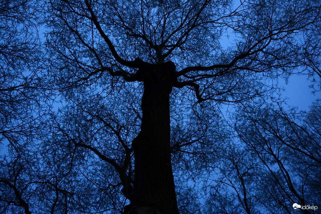 Óriás kék órában 01.16.