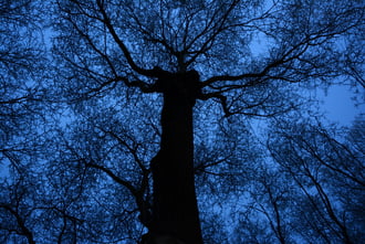 Óriás kék órában 01.16.