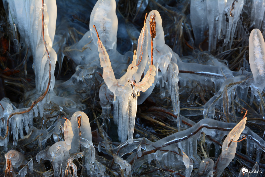 A jég karmestere