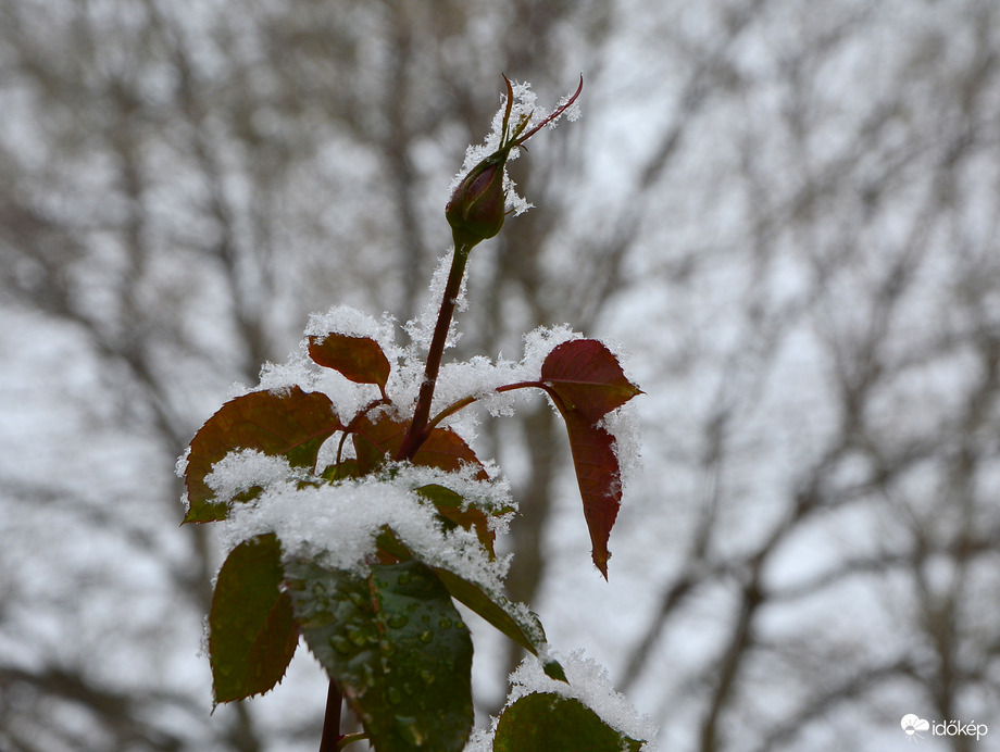 Havas szépség 12.09.