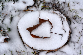 Egész napos havazás Szombathelyen 01.05.